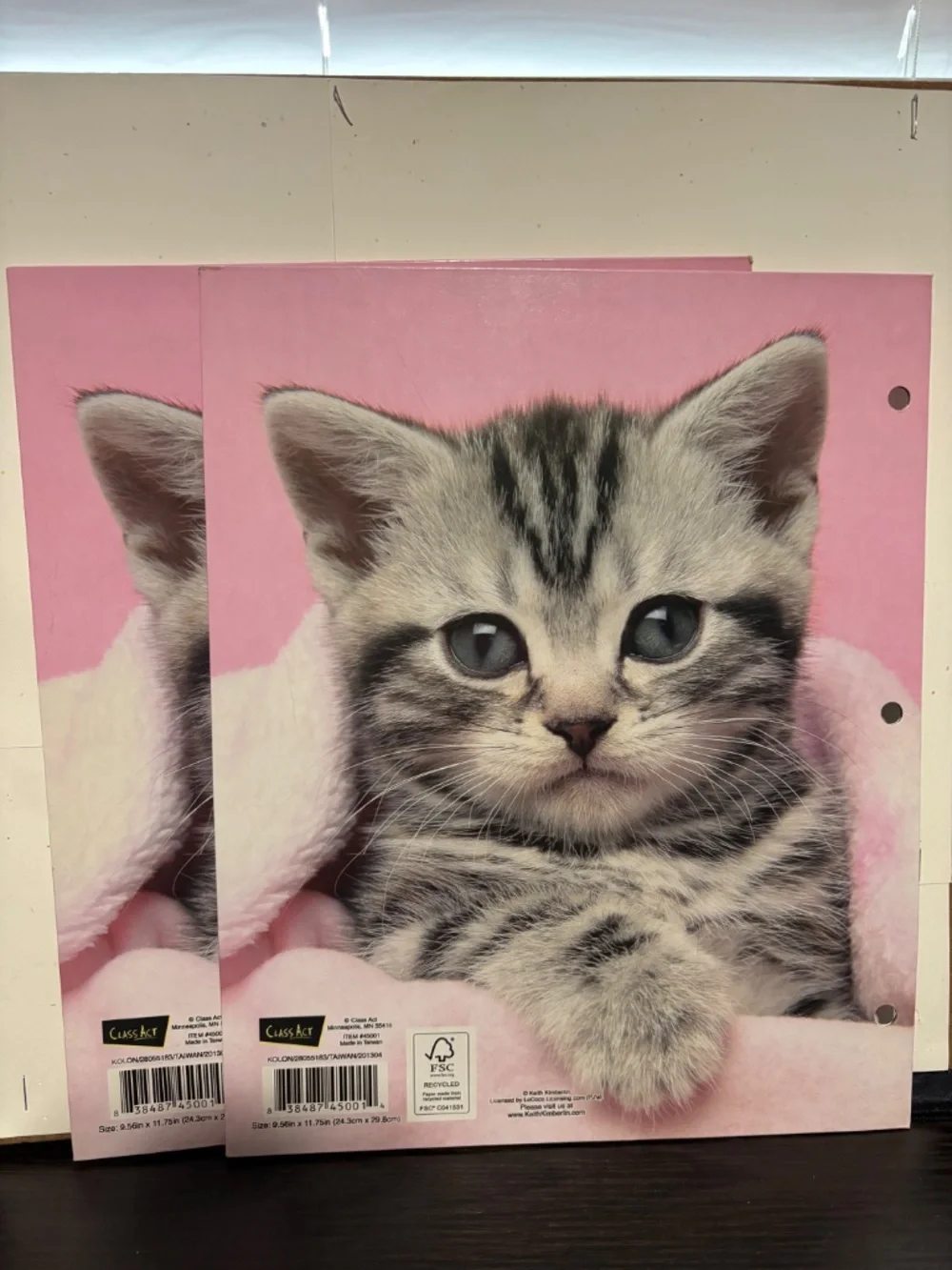 Cat/ Kitten Folder Bundle